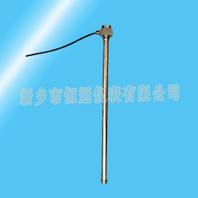 13汽车专业油位计
